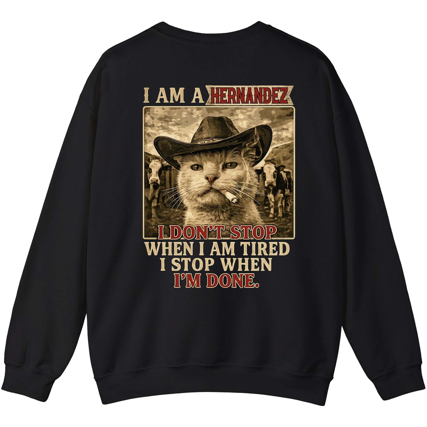 HERNANDEZ - TC01TS022