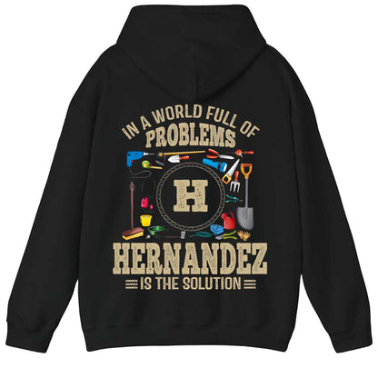 HERNANDEZ - TC01TS102