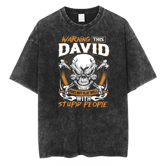 DAVID - TC01WS003