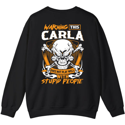 CARLA - TC01TS003