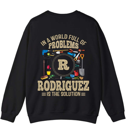 RODRIGUEZ - TC01TS102